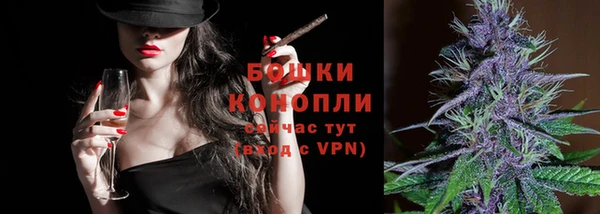 гидра Семилуки