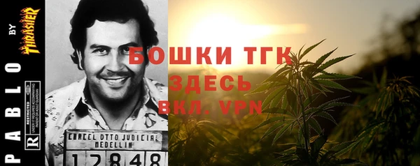 гидра Семилуки