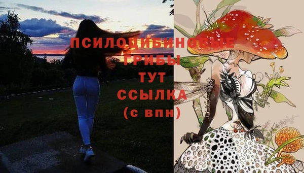 гидра Семилуки
