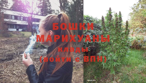 гидра Семилуки
