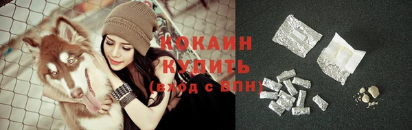 гидра Семилуки