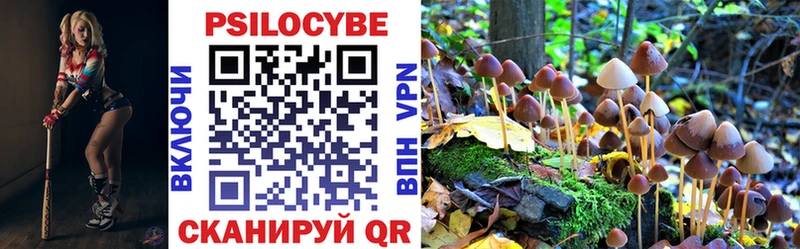кракен маркетплейс  Миасс  Псилоцибиновые грибы Cubensis 